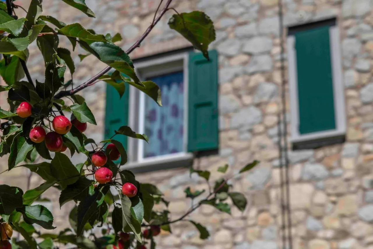 *Appartamento*+WIFI+Free Parking+20 min zocca Tole